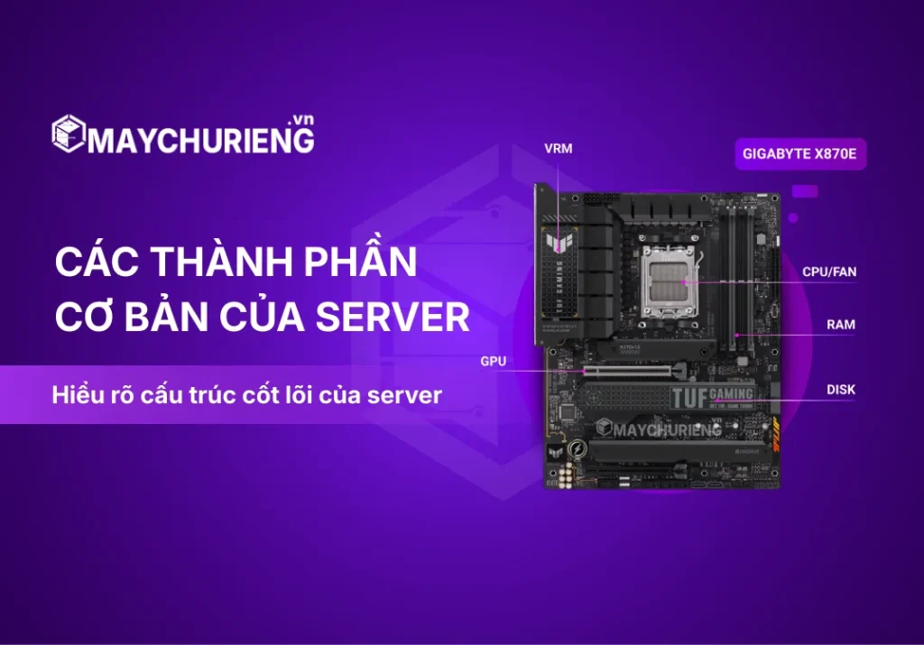 Server (máy chủ)